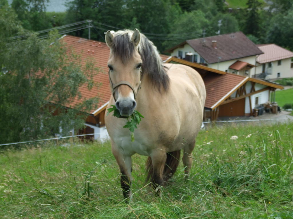Landhaus Muller *