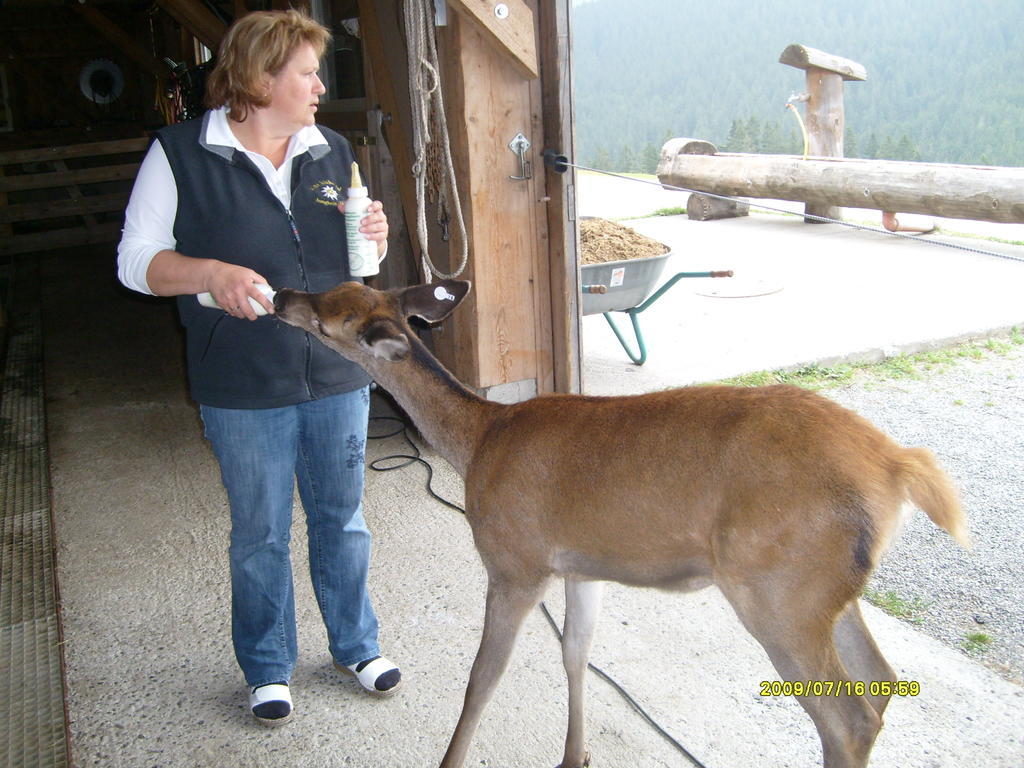 Farm stay Mueller Jungholz